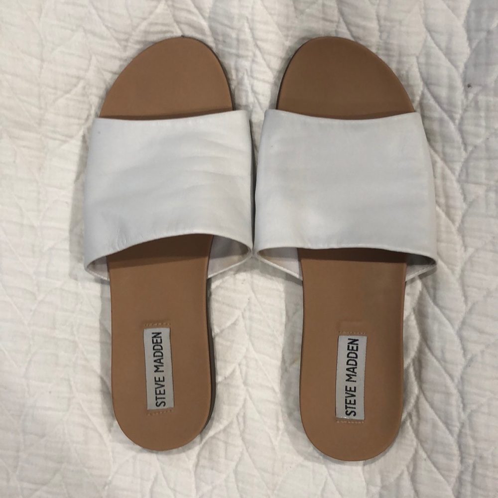 EUC Steve maddens